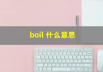 boil 什么意思